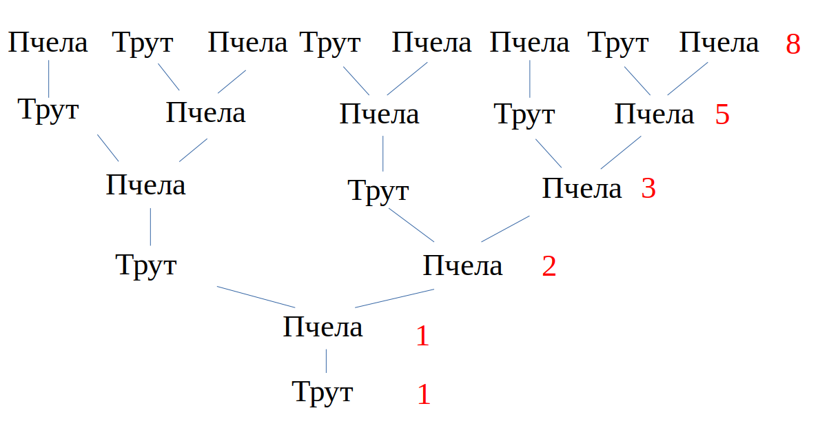 Породично стабло једног трута